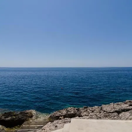 Plavac Mali Potomje