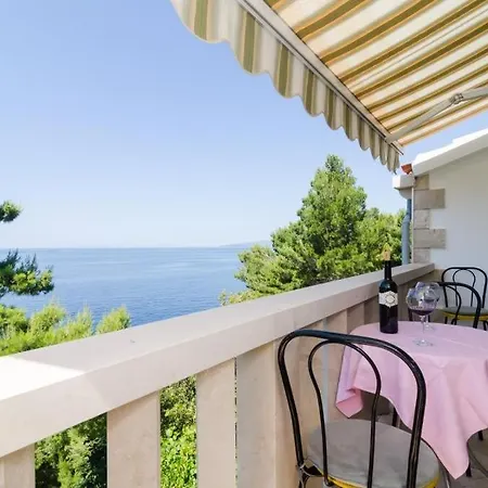 Plavac Mali * Potomje