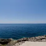 Plavac Mali Potomje